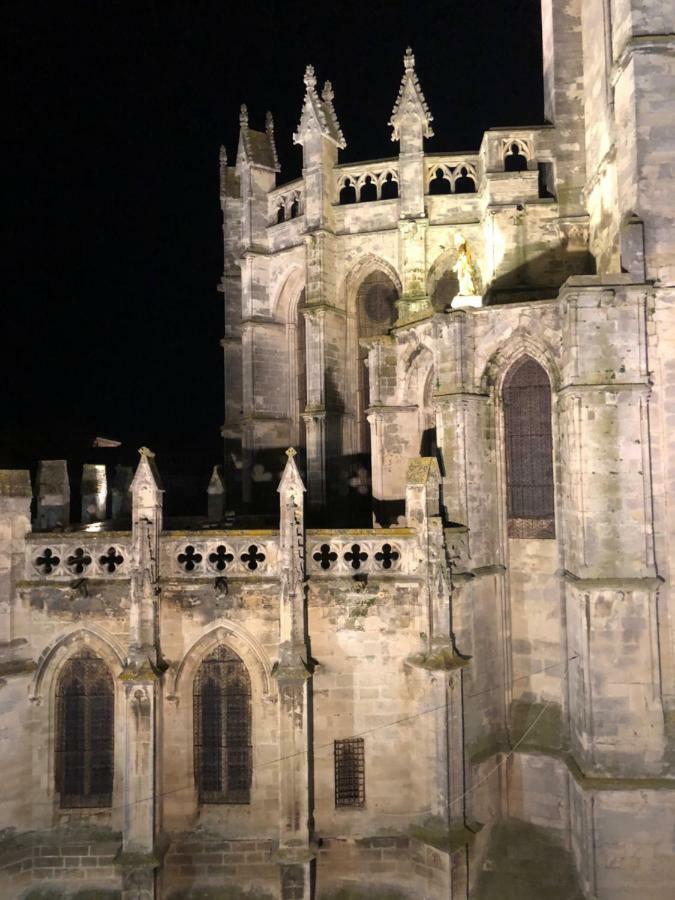 Apartment Le Logis Du Chanoine, 50 M2 And Terrace Face To Cathedral *