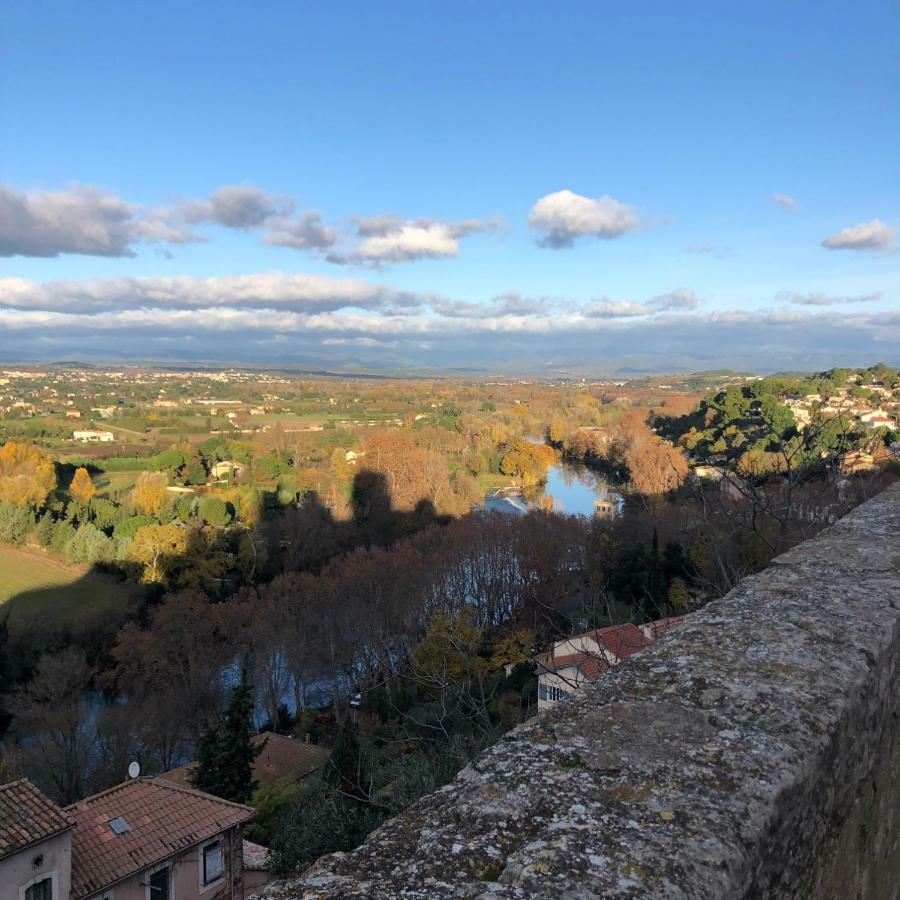 Le Logis Du Chanoine, 50 M2 And Terrace Face To Cathedral *
